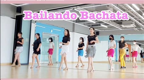 초급 Bailando Bachata Line Dance YouTube