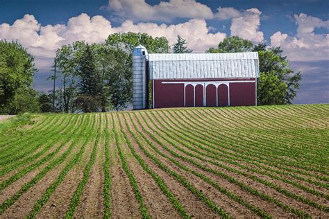 Rows In A Farm Field With Red Barn And Silo In West Michigan Photograph