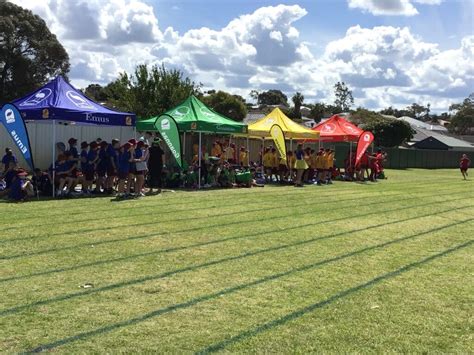 Sports Carnival P C Sausage Sizzle Connolly Primary School