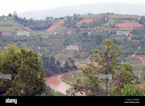 Muddy River Gitarama Meandering Through The Fertile Landscape The Land