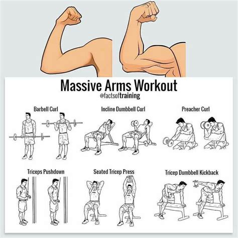 Massive Arms Workout Absworkouts Arm Workout Workout Routine