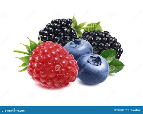 Himbeere Brombeere Blaubeere Beeren Mischen Lokalisiert Stockbild