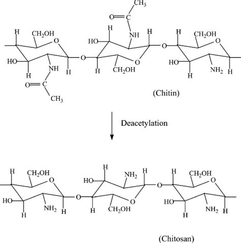 Chitosan Derived From Deacetylation Of Chitin Download Scientific Diagram