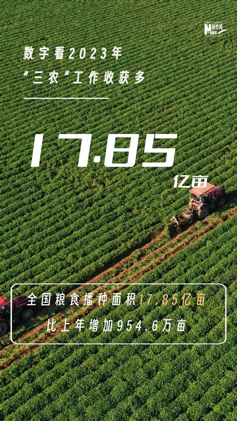 沉甸甸！数字看2023年“三农”工作收获多 荆楚网 湖北日报网