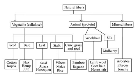 Classification Of Natural Fibers [1 2] Download Scientific Diagram