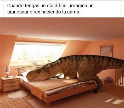 Cuando Tengas Un D A Dif Cil Imagina Un Tiranosaurio Rex Haciendo La