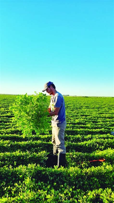 Alerta Por La Sequía En La Región La Sufren En El Campo Y También En