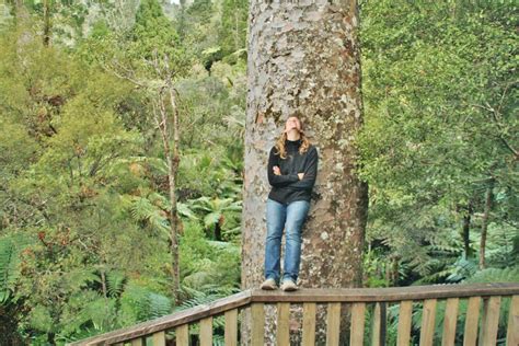 Giant Kauri Tree Mario Ruckh Flickr