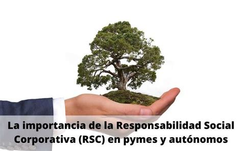 Responsabilidad Social Corporativa Rsc En Pymes Y Aut Nomos