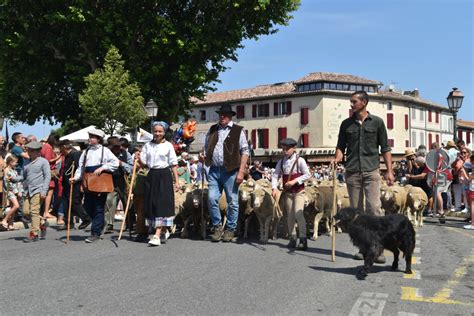 Fête de la transhumance de Saint Rémy de Provence Maison de la