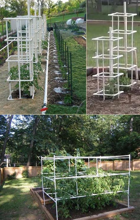 Creative Gardening Ideas With Inexpensive Pvc Pipes