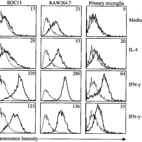 IL 4 Inhibits IFN Induced CD40 Expression In Macrophages Microglia The