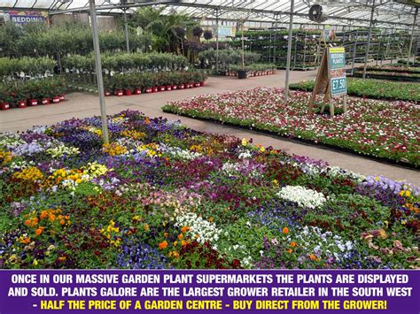 Yeovil Latest News Plants Galore