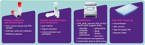 Complete Solutions For Pcr Assay Development