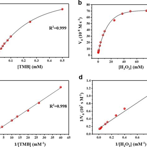 Steady State Kinetic Analysis Using The Michaelis Menten Model A B