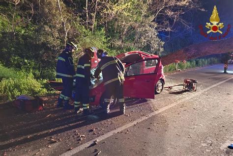 Albero Crolla Su Un Auto In Transito Due Persone Incastrate Tra Le