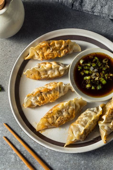 Homemade Korean Beef Mandu Potstickers Stock Image Image Of Korean