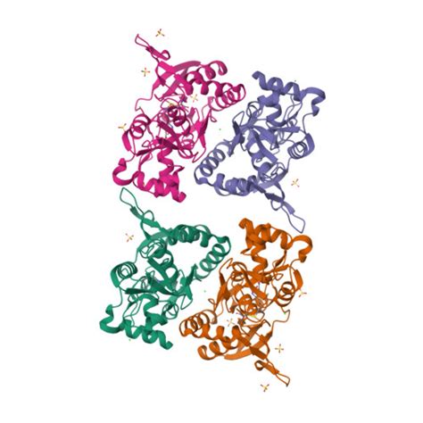 Rcsb Pdb E X Crystal Structure Of The Kainate Receptor Gluk Ligand