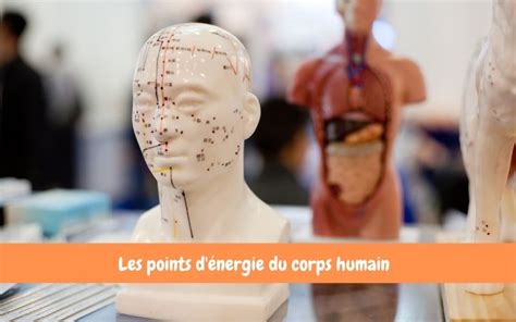 Les Points D énergie Du Corps Humain Le Guide Ultime