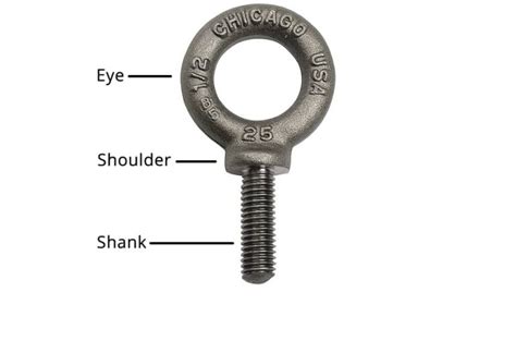 The Ultimate Guide To Lifting Eye Bolts A Safety Component