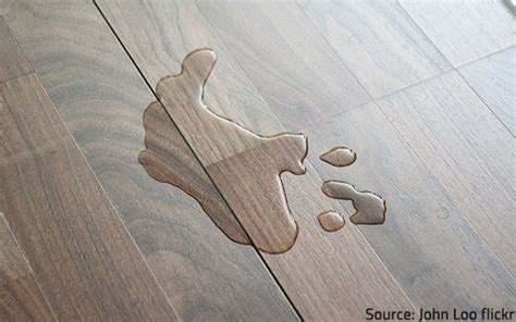 Step By Step Guide On How To Fix A Laminate Floor That Got Wet