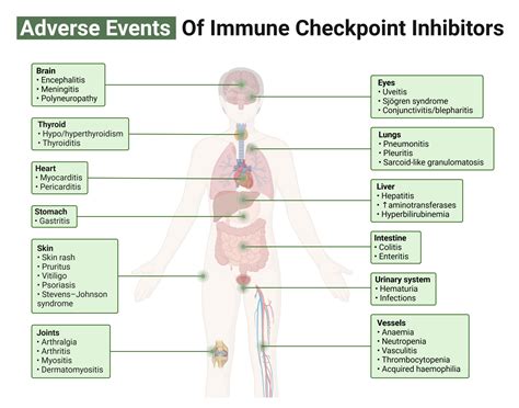 Endocrine Effects Of Immune Checkpoint Inhibitors My Endo Consult