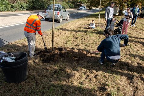 Naissance Arbre Retour En Images Mairie De Bures Sur Yvette