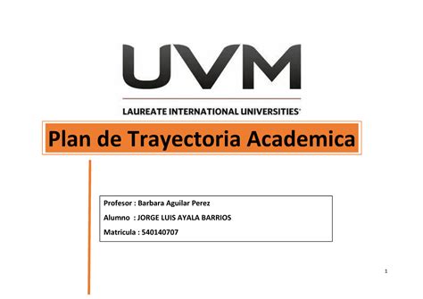 Plan De Trayectoria Academica Lo Que Sab A De Las Estrategias De