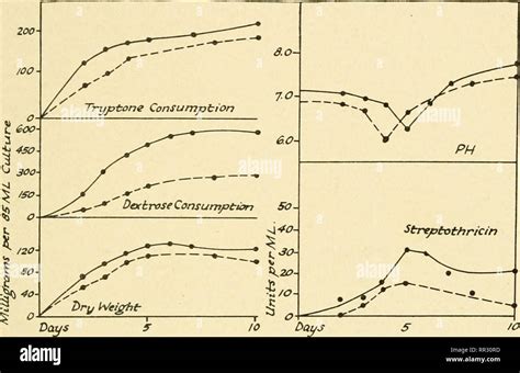 The Actinomycetes Their Nature Occurrence Activities And