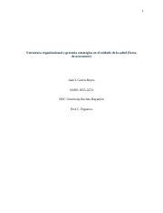 3 1 liderazgo docx 1 Estructura organizacional y gerencia estratégica