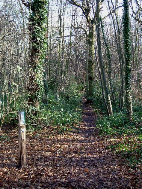 Waymarked Path In Pound Wood © Glyn Baker Cc By Sa20 Geograph