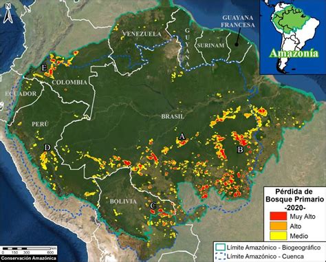 Maap 136 Deforestación En La Amazonía 2020 Biodiversidad En América