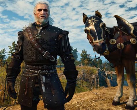 Best armor set witcher 3 - rtsrobot