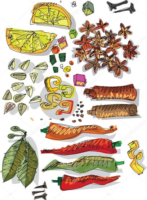 Set of spices - cartoon — Stock Vector © iralu1 #31957855