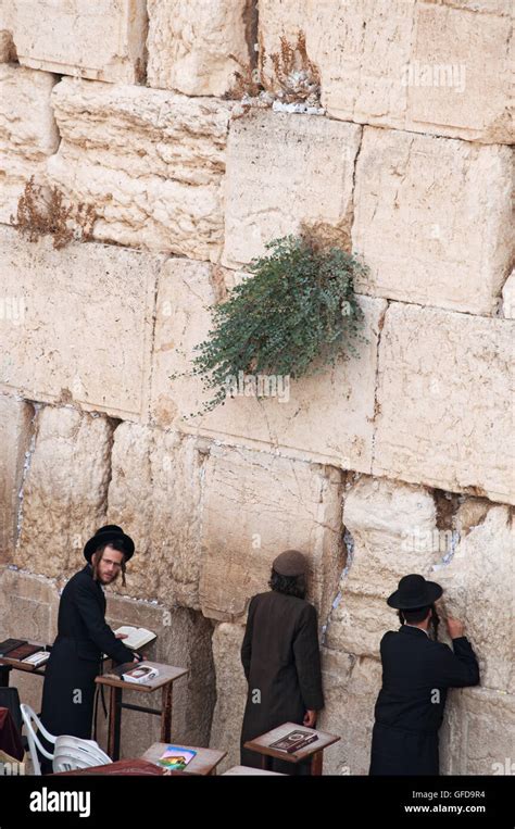 Jerusal N Hombres Jud Os Rezan En El Muro Occidental El Muro De Los