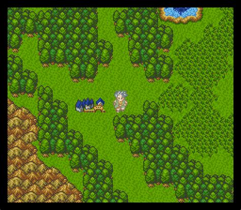 Dragon Quest 6 Snes 055 The King Of Grabs