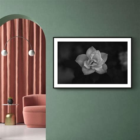 Close Up Roze Bloem Met Deze Bloem Poster Zal Jouw Kamer Meteen