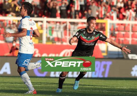 Partido Nico Xperto Cat Lica Y Palestino Quieren Seguir En Lo Alto