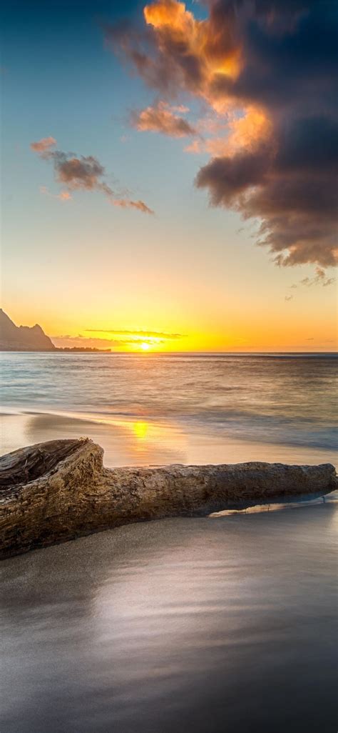 Driftwood On Beach At Sunset On North Shore Of Kau Beach Sunset