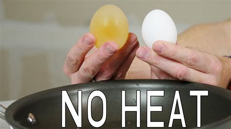 How To Boil An EGG Without HEAT Best Science Experiments And Hacks For