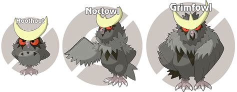 I Drew Regional Variants And A New Evolution Of Hoothoot And Noctowl R Pokemon