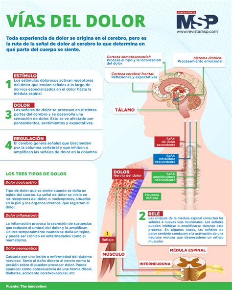 Mapa Conceptual Mecanismo Del Dolor Patologia General Patologia My