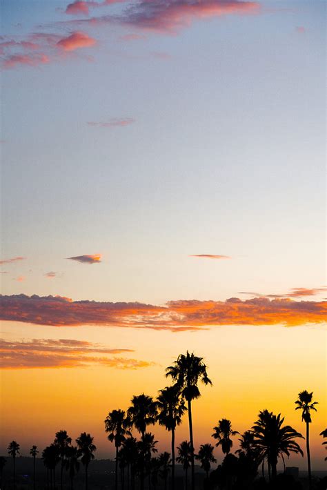 Palm Trees Sunset Clouds Dusk Dark Hd Phone Wallpaper Peakpx