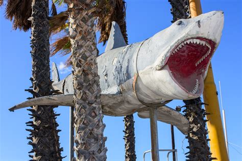 Academy Museum of Motion Pictures Just Installed the Only Surviving Shark Model from 'Jaws ...