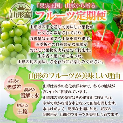 【定期便6回】山形フルーツ定期便 季節のくだものセット 【令和6年産先行予約】fu22 118 山形県山形市 Jre Mallふるさと納税