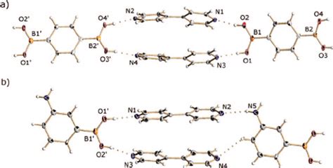 Hydrogen Bonding Motifs Found In The Crystal Structures Of A