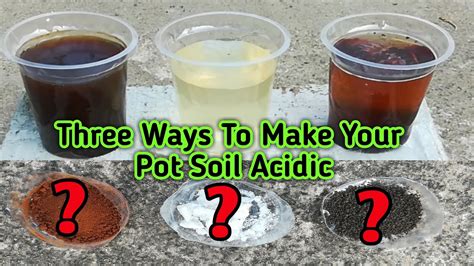 How To Make Your Pot Soil Acidic Youtube