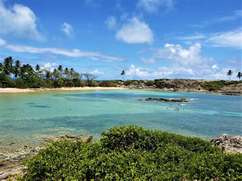 Ilha De Santo Aleixo Tudo Sobre Esse Para So Passagem Comprada