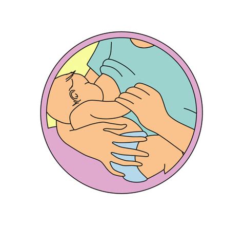 Breastfeeding Positioning And Attachment Flashcards Quizlet