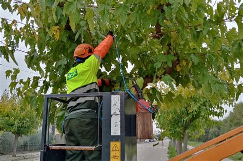 Ajuntament De La Garriga Inici De La Campanya De Poda Tardor Hivern